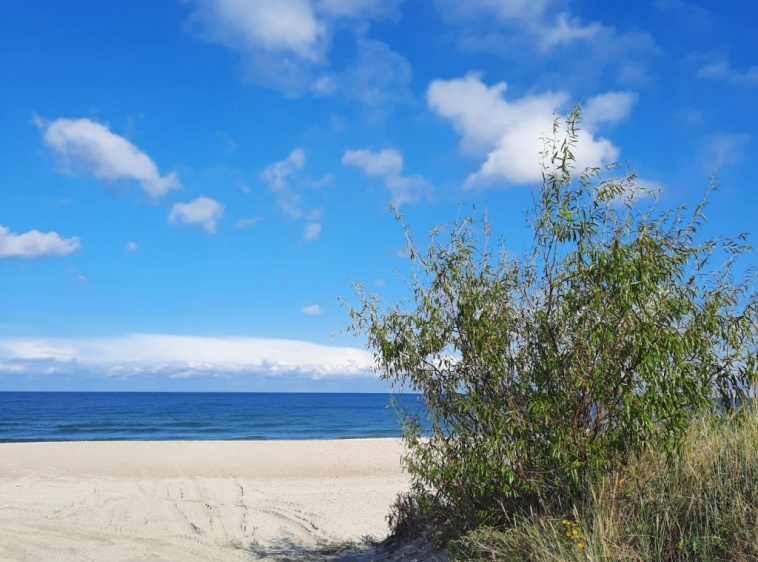 Pokoje Gościnne u Joanny  
